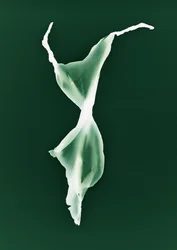 Uden titel, 2004