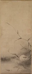 Fisk og tang, 1500-tallet.