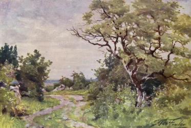Marksti, nær Llanrug (farve litho)