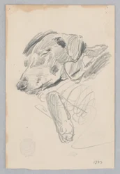 Hund