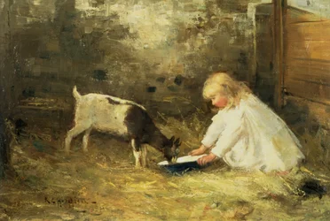 Barnet