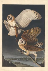 Kirkeugle, 1833.