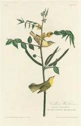 Børnesanger, 1828.
