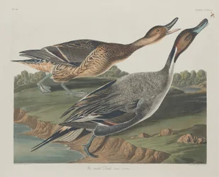 Spidsand, 1834.