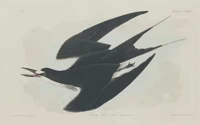 Sodtern, 1834.