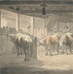 En ko Byre