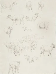 Fåreflokke, efter 1794 (grafit)