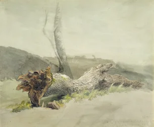 The Fallen Tree, ca. 1804 (wc over grafit på vævet papir)