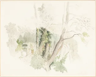 Træer ved Beddington