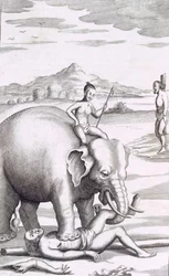 En henrettelse af en elefant, pub. 1681.