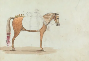 Ufærdig skitse af en omhyggeligt opsadlet hest