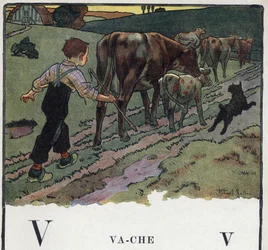 Børnebog "" Jeg vil læse - Metodisk og sjovt alfabet af en far""" 1926. Illustration af Robert Salles (1871-1929). Abecedary: bogstav V som ko. En dreng hjælper en hund, driver en flok køer ud på en mark.