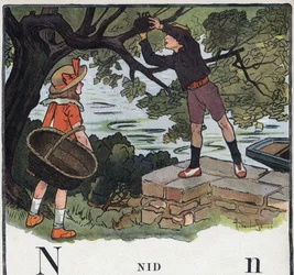 Børnebog "" Jeg vil læse - Metodisk og sjovt alfabet af en far""" 1926. Illustration af Robert Salles (1871-1929). Abecedary: bogstavet N som Nest. En dreng tager en rede bygget på et træ.