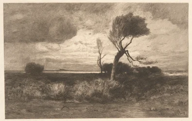 Nær Kysten