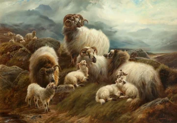 Får i et landskab, 1894