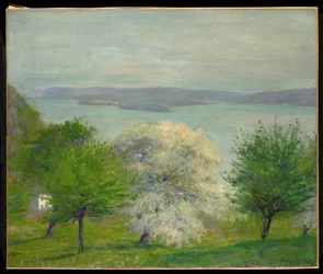 Æbleblomst, 1903