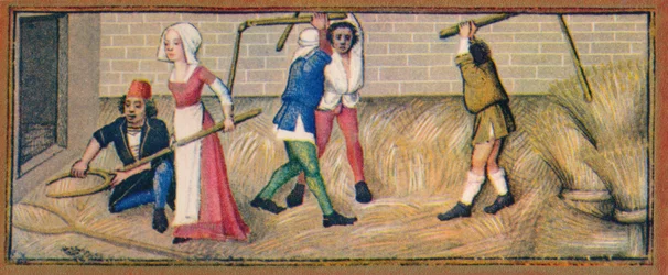 juli - tærskning, 1400-tallet, 1939.