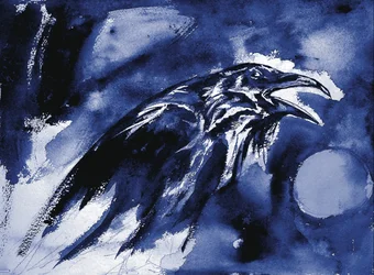 Blå Måne-ravn