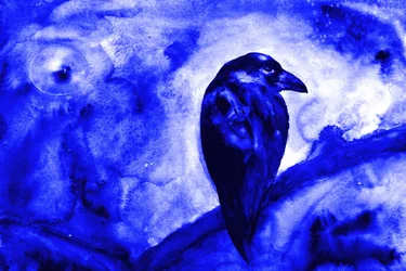Raven i måneskin