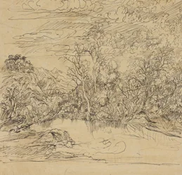 Bank of a Pond