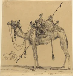 Kamelen