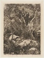 Fontainebleau-skoven