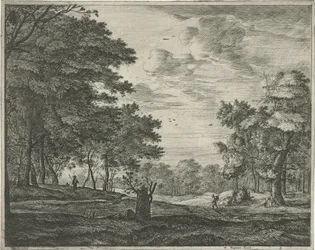 Vandrer i Haagse Bos