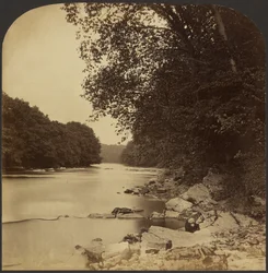 [Riverscape]