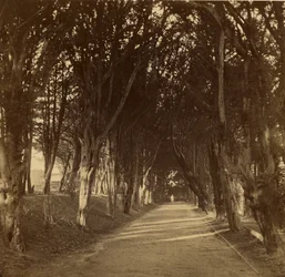 Den mørke gåtur; Stonyhurst