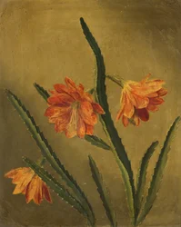 Studie af blomster (olie på lærred)
