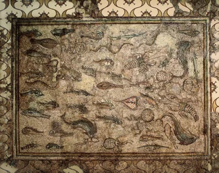 Romersk kunst: mosaik af fisk. Begyndelsen af ​​det 3. århundrede. Tarragona. Nationalt Arkæologisk Museum.