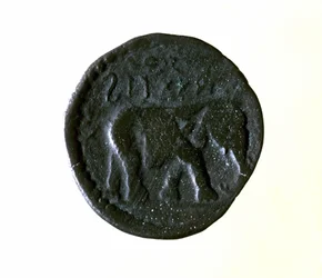 Kartago mønt, der repræsenterer en elefant. 3. eller 2. århundrede f.Kr.