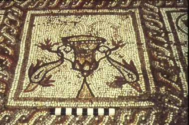 Delfinmosaik, Insula XXVIII, Bygning 3, 2. århundrede f.Kr. (mosaik)