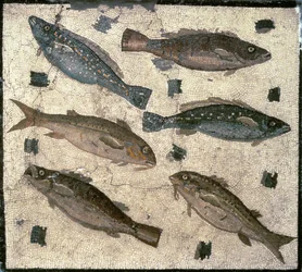 Fisk (mosaik)