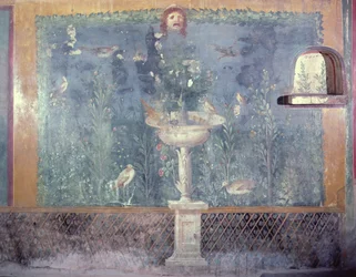 Springvand, maske og fugle, Venus hus i skal, Pompei, Italien (fresco)
