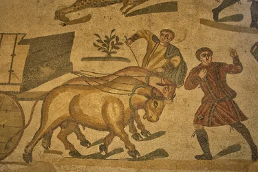 Den store jagts sal, gulvmosaik med jagtscene, Villa Romana del Casale, Piazza Armerina, Sicilien, Italien (foto)