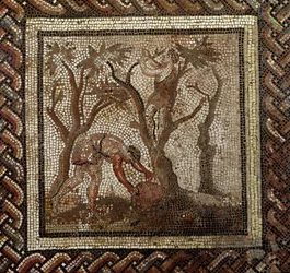 Høst druer, fra Saint-Romain-en-Gal (mosaik)