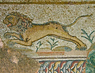 Jagtscene, detalje af en løve, House of Dionysos, Paphos, Cypern mosaik