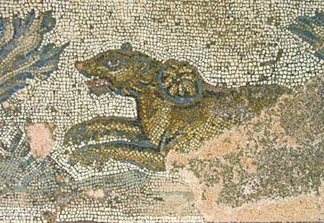 Jagtscene, detalje af en løvinde, House of Dionysos, Paphos, Cypern mosaik