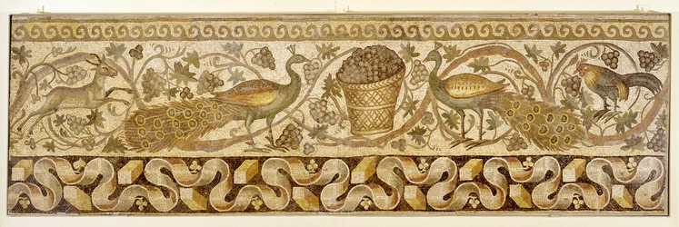 Mosaik af en vinranke-bort med påfugle, Antiokia, 526-540