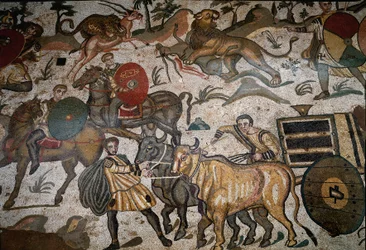 Romersk kunst: detalje af mosaikken "" Den store jagtdel"" Rør trækker af okser. 315-350 e.Kr. Piazza Armerina, Villa Romana del Casale