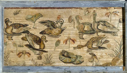 Romersk kunst: and, frø og åkander i en dam. Mosaik fra Faunens Hus i Pompeji. 1. århundrede. Mål: 132 x 164 cm. Museo Archeologico Nazionale, Napoli