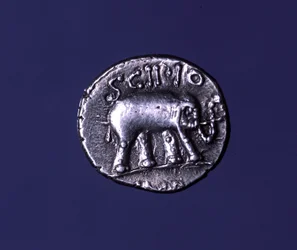 Sølvmønt, der repræsenterer en elefant, fetichedyr fra Scipions. Lucius Caecilius Metellus beslaglagde de karthagiske elefanter i 251 f.Kr. 47-46 f.Kr.