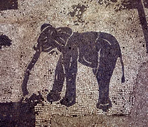 Gamle Ostia (Ostia). Place des Corporations. Mosaik af Sabratha Seafarers Corporation.