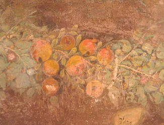 Detalje af fresco med dekoration af blomster og frugt fra den romerske villa i Boscoreale (Napoli), romersk civilisation