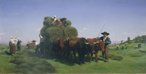 Høslæt, Auvergne