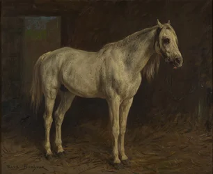 Hvid hest