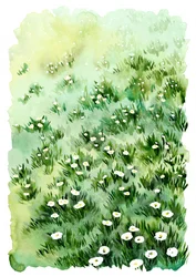 Blomster fra den grønne eng