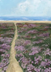 Stien langs Purple Flowers-stranden
