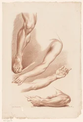 Tre arme og et ben Principper for at tegne fra naturen, del syv (serietitel) VIIe Cahier de Principes du Design d